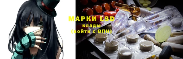 PSILOCYBIN Алзамай