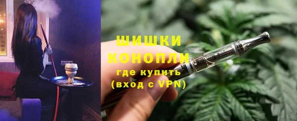 PSILOCYBIN Алзамай