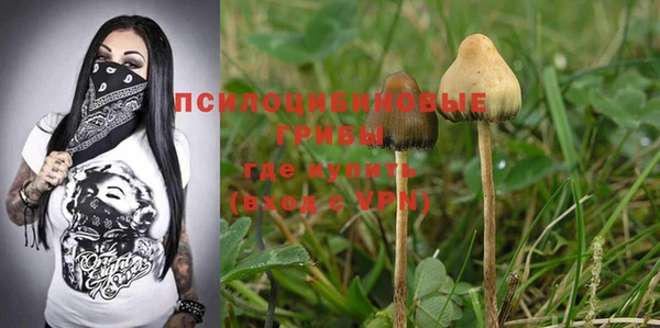 PSILOCYBIN Алзамай