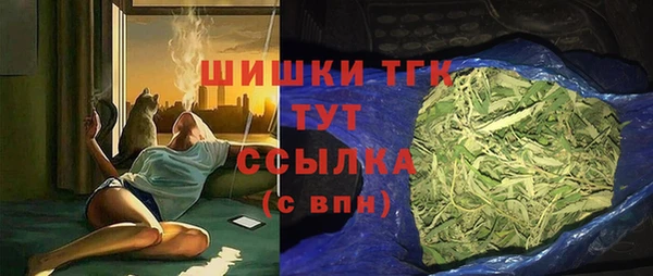 PSILOCYBIN Алзамай
