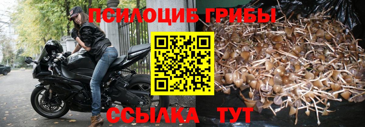 Псилоцибиновые грибы MAGIC MUSHROOMS Минусинск