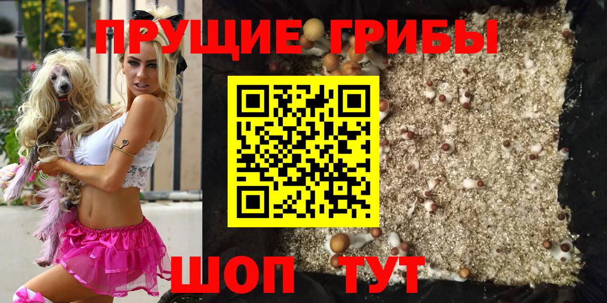 Галлюциногенные грибы Magic Shrooms  Вход с VPN  Минусинск 